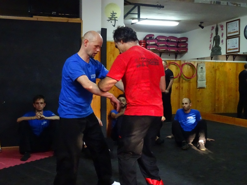 Kung Fu Caserta Wing Chun Academy Wing Tsun e Wing Tjun a Caserta, Frosinone, Avezzano, Latina, San Severo, Italia Sifu Salvatore Mezzone (2)